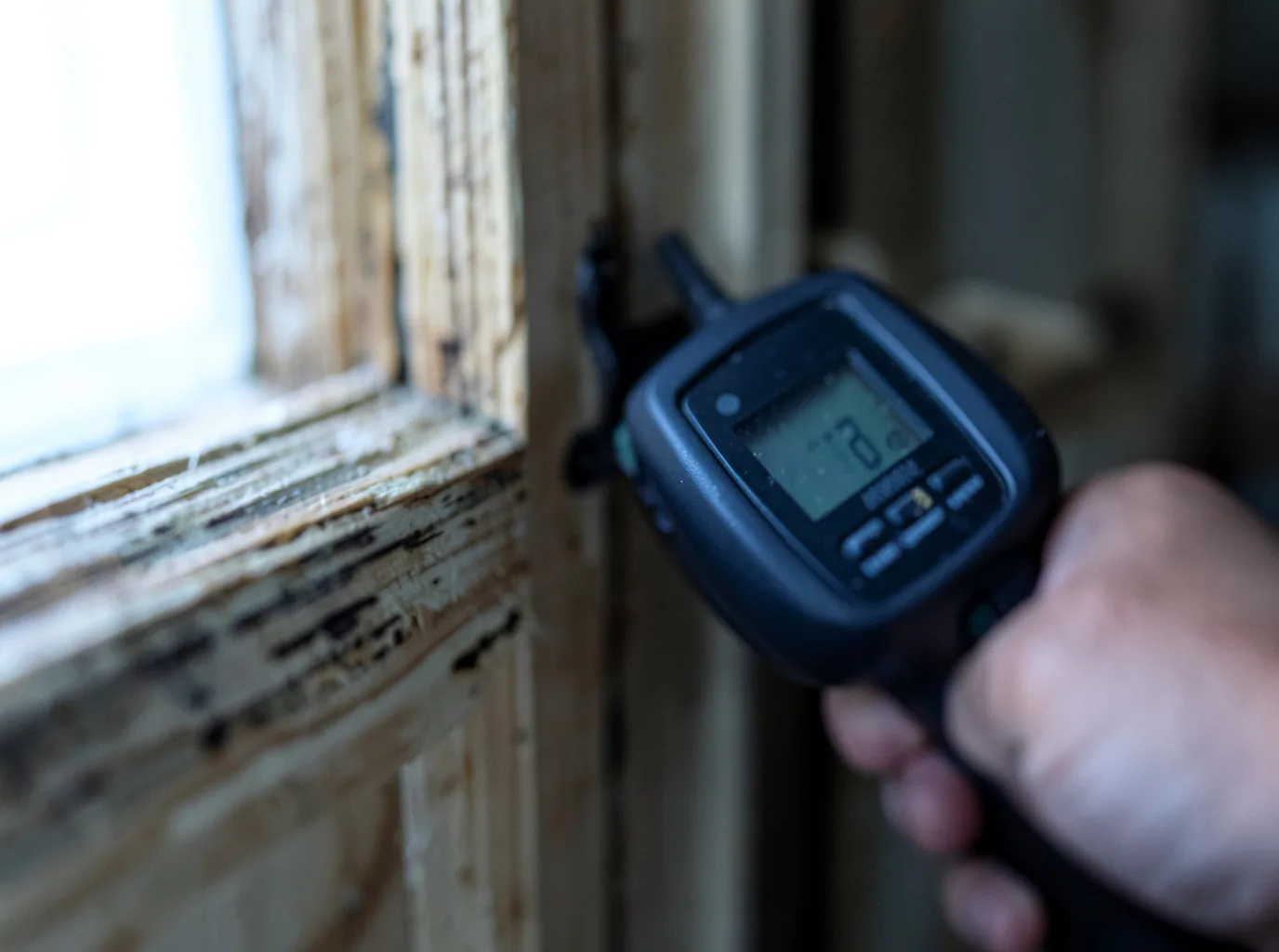 Moisture Inspection And Documentation in Wells, VT